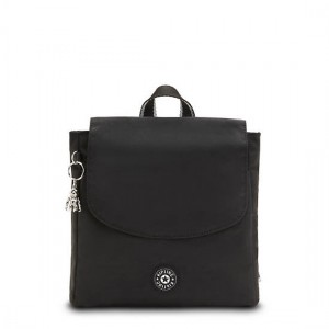 Black Kipling Dannie Small Backpacks | DBXTZO-657