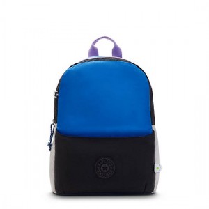 Black Kipling Sonnie 15" Backpack Laptop Bags | ZDQKFJ-296