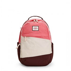 Pink Kipling Xavi 15" Backpack Laptop Bags | ZMYSHL-178