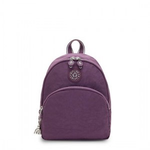 Purple Kipling Paola Small Backpacks | ILQFTG-803