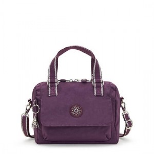 Purple Kipling Zeva Handbag Handbag | VDWZNM-387