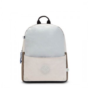 Silver Grey Kipling Sonnie 15" Backpack Laptop Bags | VJYKFD-280