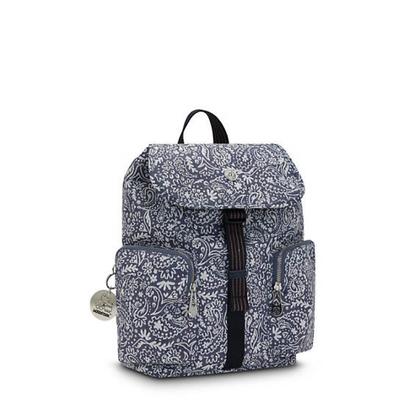 Blue Kipling Anto Woodstock Backpacks | DIRCAV-481