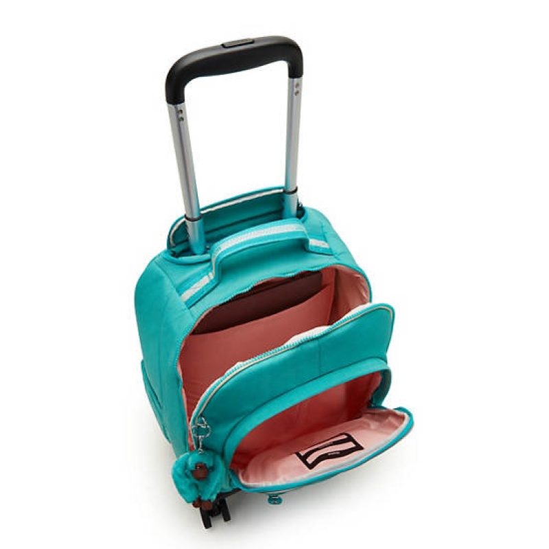 Turquoise Kipling New Zea 15